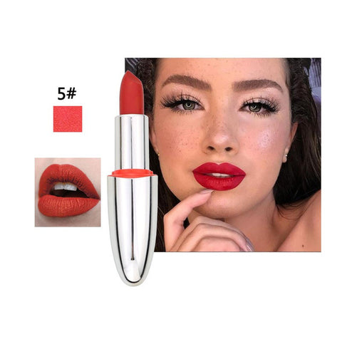 14 Colors Matte Lipstick Lips Make Up Waterproof Velvet Lip Stick Nude Red Brown Lips Makeup Matt Long Lasting Lipsticks